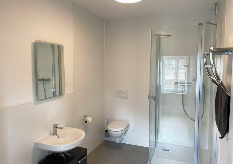 Bad mit Dusche - Wohnung Kirnitzschtal